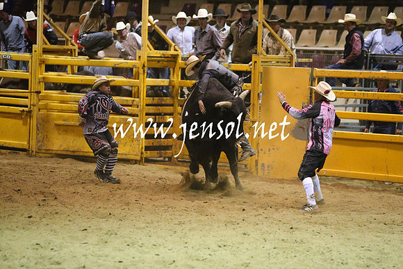 RDAug2013_0426