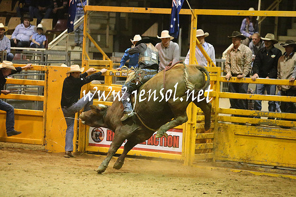 RDAug2013_0374