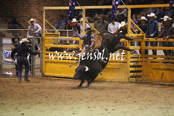 RDAug2013_1119