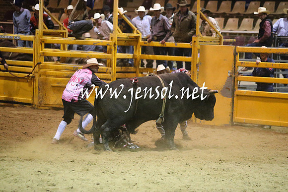 RDAug2013_0431