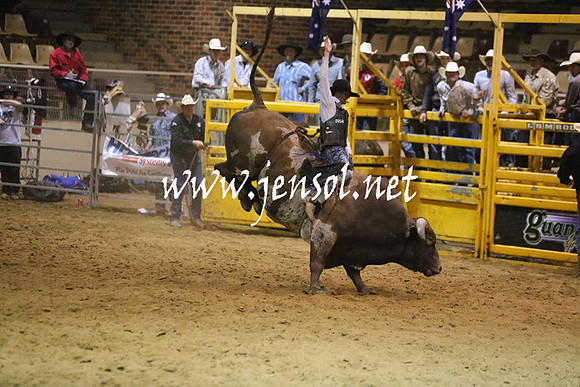 RDAug2013_0447