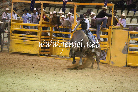RDAug2013_0448