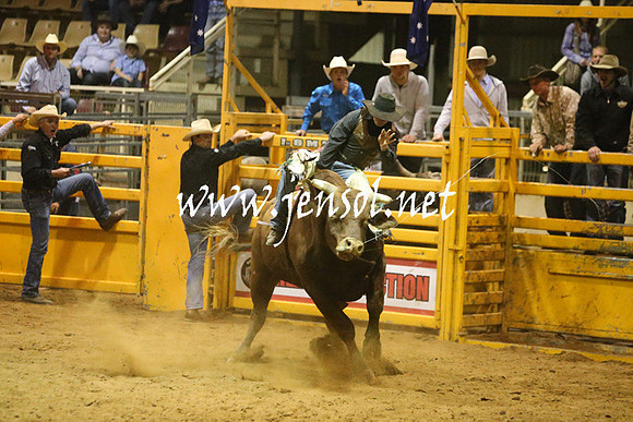 RDAug2013_0378