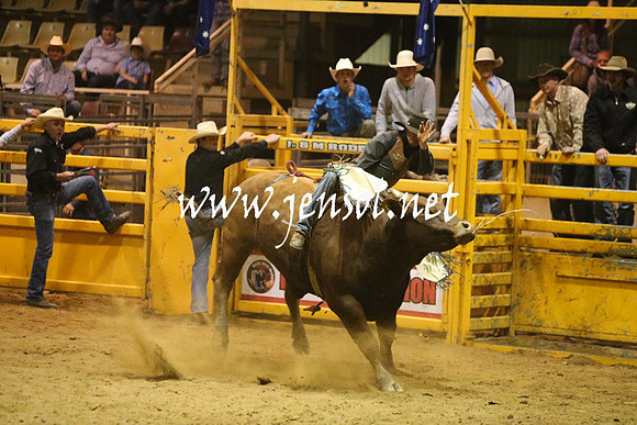 RDAug2013_0377