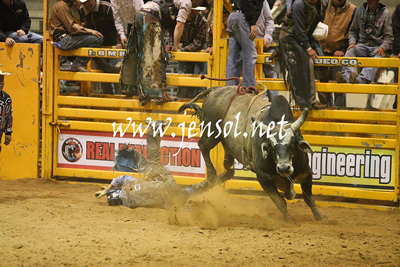 RDAug2013_0482