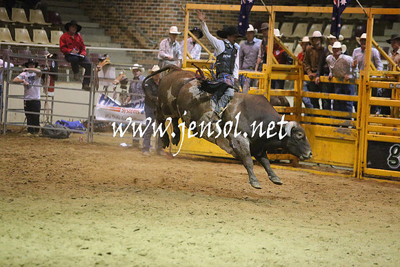 RDAug2013_0445