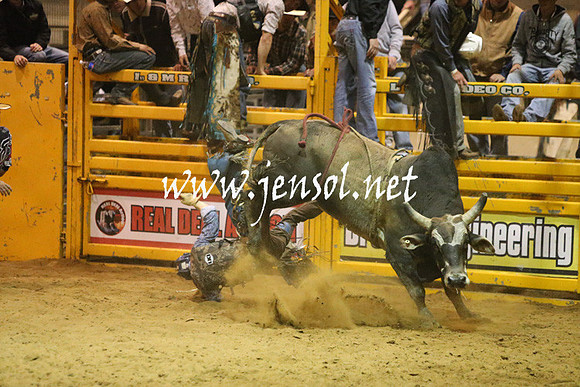 RDAug2013_0481