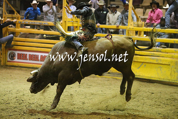 RDAug2013_0384
