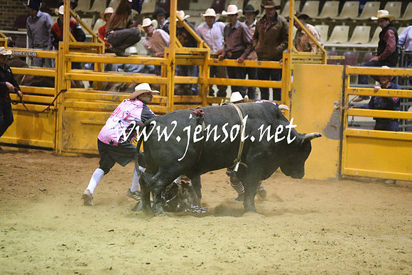 RDAug2013_0432