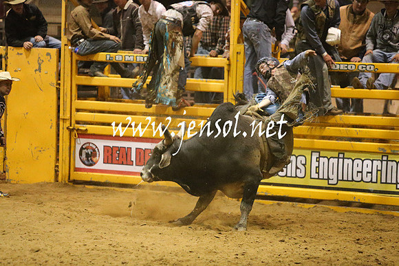 RDAug2013_0479