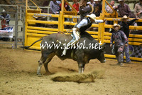 RDAug2013_0367
