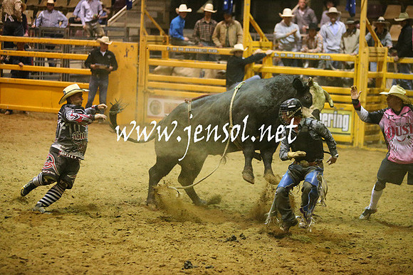 RDAug2013_0406