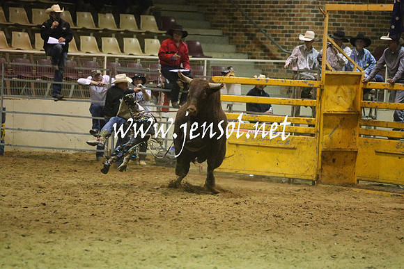 RDAug2013_0454