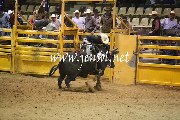 RDAug2013_0424