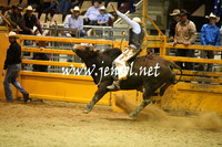 Open Bull