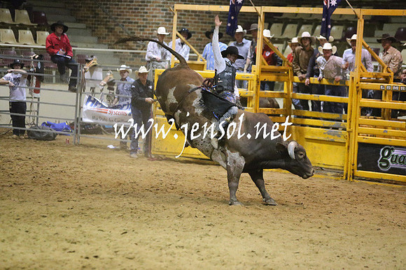 RDAug2013_0446
