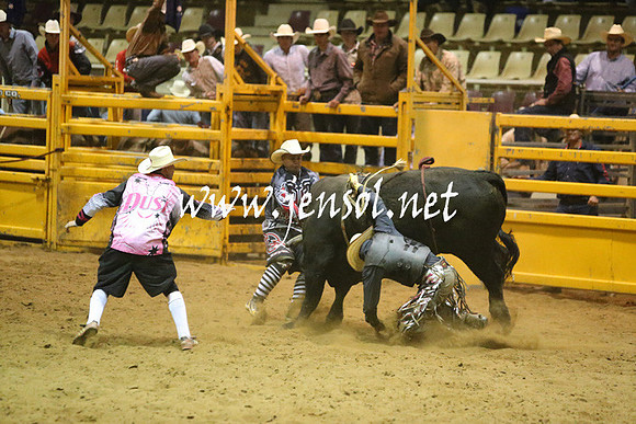 RDAug2013_0430