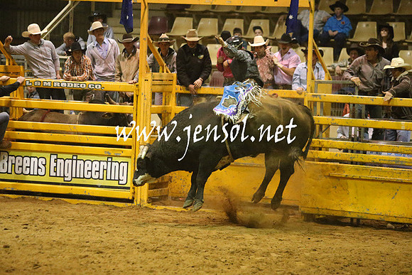 RDAug2013_0389