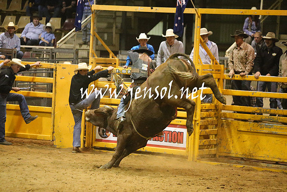 RDAug2013_0375