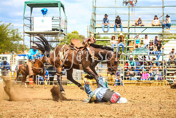 QueanbeyanRodeo2017_2454