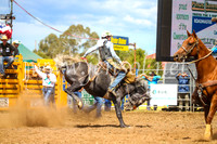 QueanbeyanRodeo2017_2345
