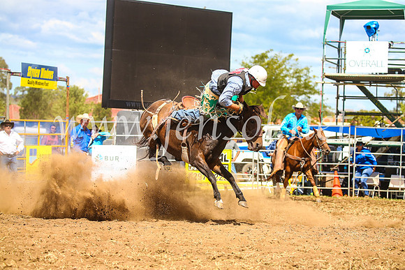QueanbeyanRodeo2017_2443