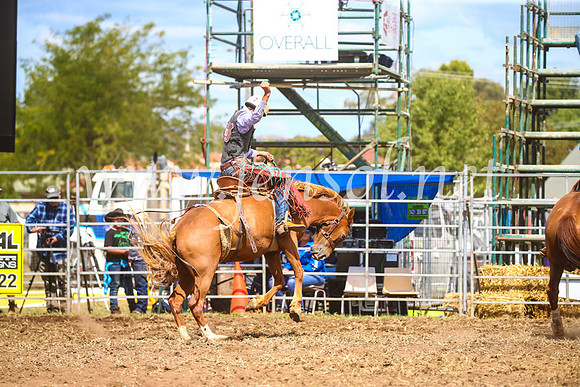QueanbeyanRodeo2017_2466