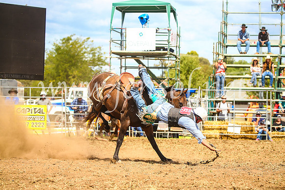 QueanbeyanRodeo2017_2442