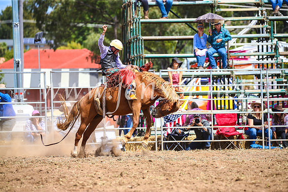 QueanbeyanRodeo2017_2494