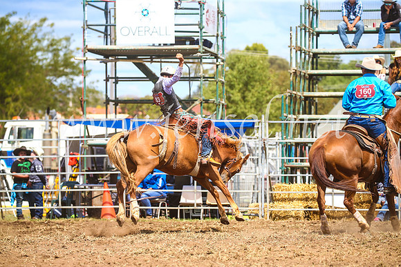 QueanbeyanRodeo2017_2467