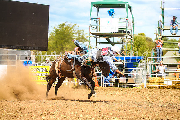 QueanbeyanRodeo2017_2437