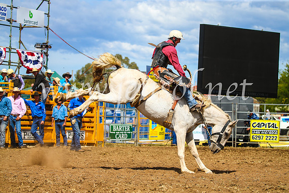 QueanbeyanRodeo2017_2396