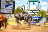 QueanbeyanRodeo2017_2357