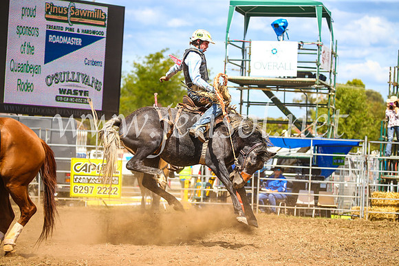 QueanbeyanRodeo2017_2357