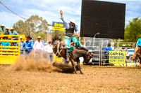 QueanbeyanRodeo2017_2434