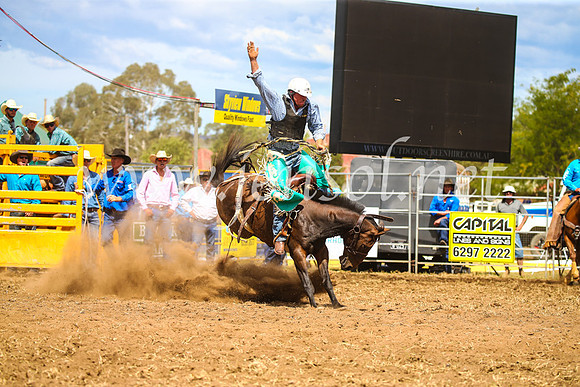 QueanbeyanRodeo2017_2434