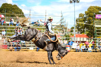 QueanbeyanRodeo2017_2362
