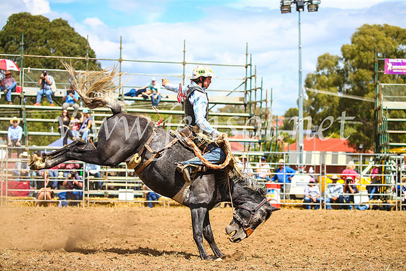 QueanbeyanRodeo2017_2362
