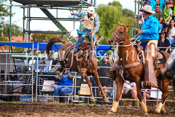 QueanbeyanRodeo2017_3734