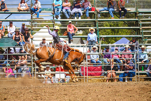 QueanbeyanRodeo2017_2481