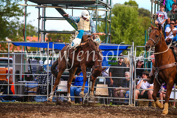 QueanbeyanRodeo2017_3718