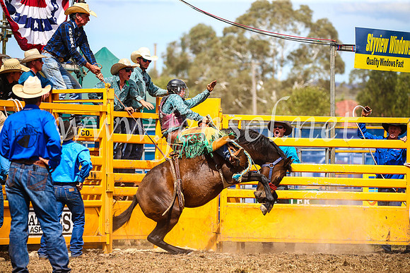 QueanbeyanRodeo2017_2500
