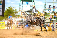 QueanbeyanRodeo2017_2351