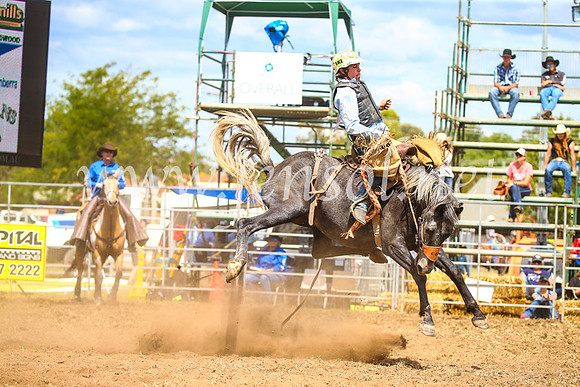 QueanbeyanRodeo2017_2351
