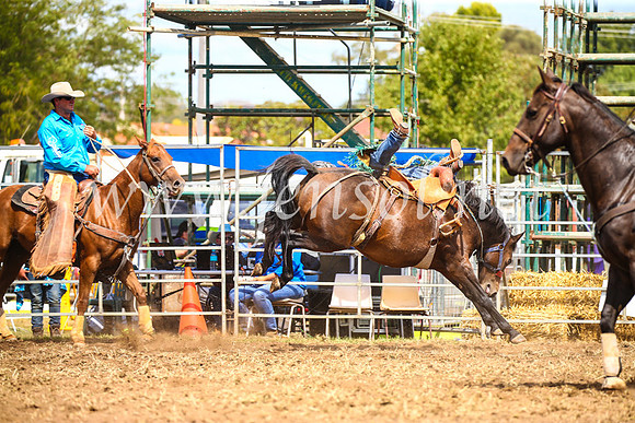 QueanbeyanRodeo2017_2527