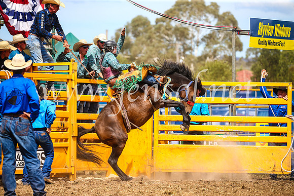QueanbeyanRodeo2017_2508