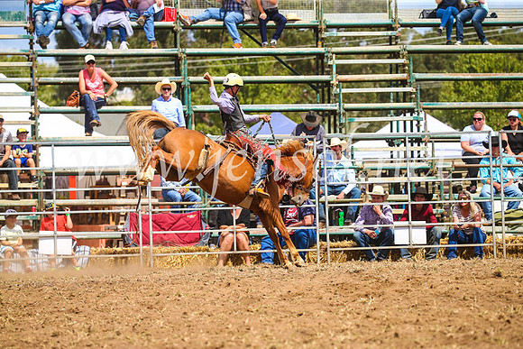 QueanbeyanRodeo2017_2472