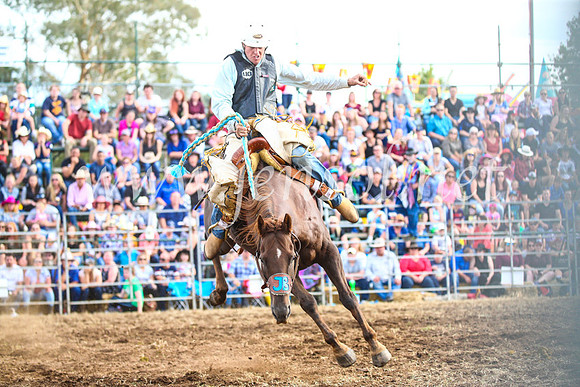 QueanbeyanRodeo2017_3625