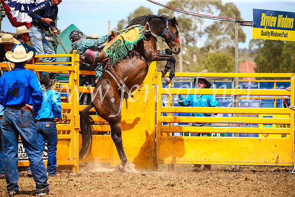 QueanbeyanRodeo2017_2499