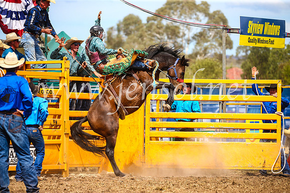 QueanbeyanRodeo2017_2510